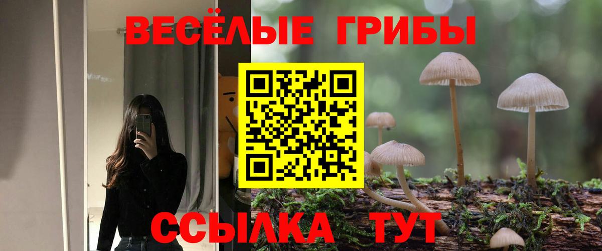 Галлюциногенные грибы Cubensis Новоалтайск